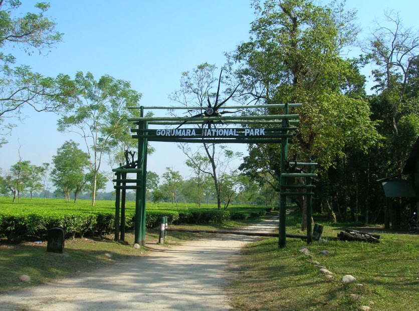 Gorumara National Park, Jalpaiguri, West Bengal - Vushii.com Gorumara National Park, Jalpaiguri, West Bengal - Vushii.com